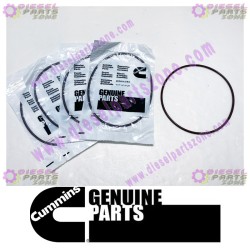 Cummins O-Ring Seal 2863701