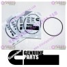 Cummins O-Ring Seal 2863701