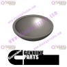 Cummins Expansion Plug 3004258