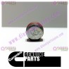 Cummins Pipe Plug 3008468