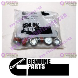 Cummins Pipe Plug 3008468