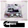 Cummins Pipe Plug 3008468