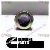 Cummins Pipe Plug 3008469