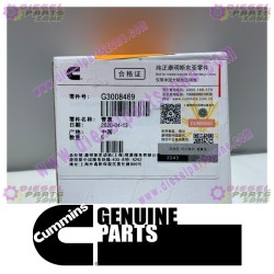 Cummins Pipe Plug 3008469