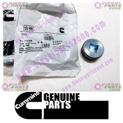 Cummins Pipe Plug 3008470