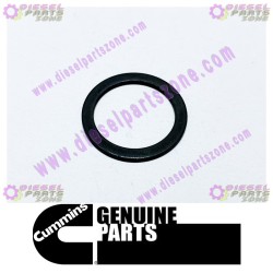 Cummins Plain Washer 3014754