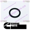 Cummins Plain Washer 3014754