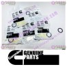 Cummins Plain Washer 3014754