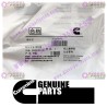Cummins Hand Hole Cover 3028684