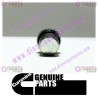 Cummins Threaded Plug 3037536