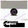 Cummins Threaded Plug 3037536