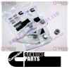 Cummins Threaded Plug 3037536
