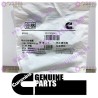 Cummins Threaded Plug 3037536