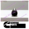Cummins Push Rod 3068390